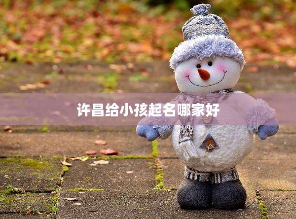 许昌给小孩起名哪家好