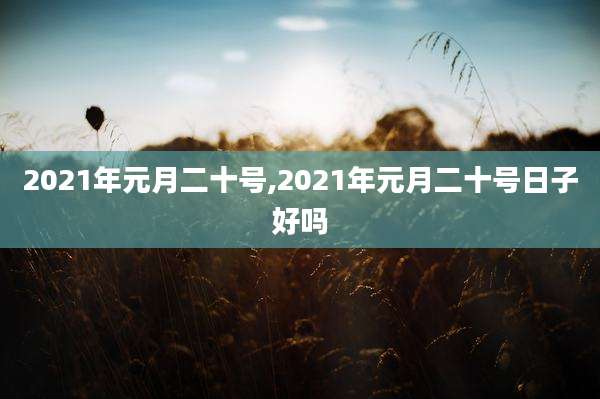 2021年元月二十号,2021年元月二十号日子好吗
