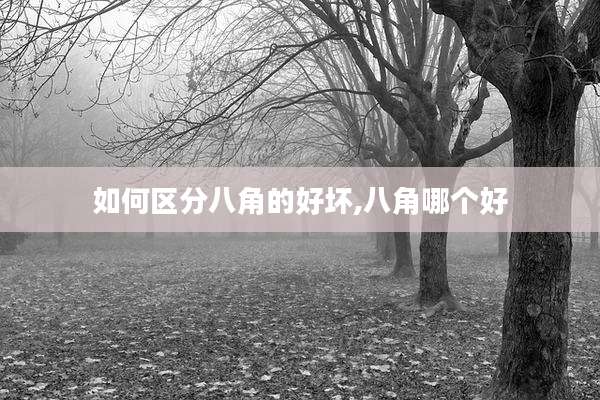 如何区分八角的好坏,八角哪个好