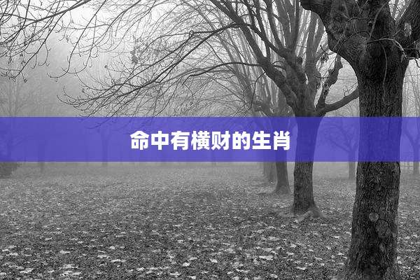 命中有横财的生肖