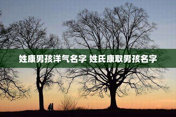 姓康男孩洋气名字 姓氏康取男孩名字