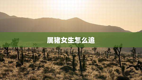 属猪女生怎么追