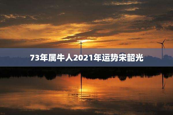 73年属牛人2021年运势宋韶光