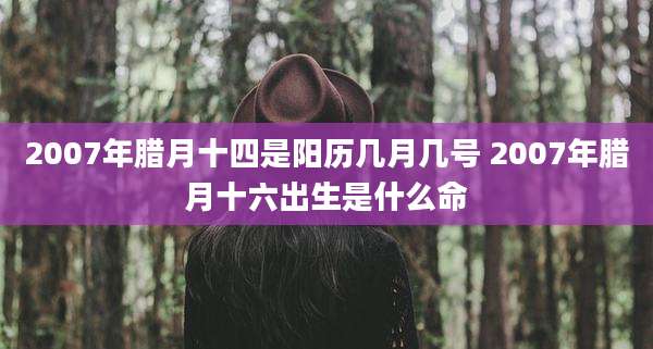 2007年腊月十四是阳历几月几号 2007年腊月十六出生是什么命