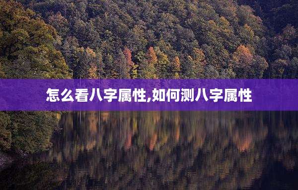 怎么看八字属性,如何测八字属性