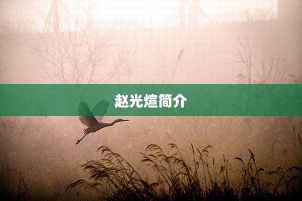 赵光煊简介