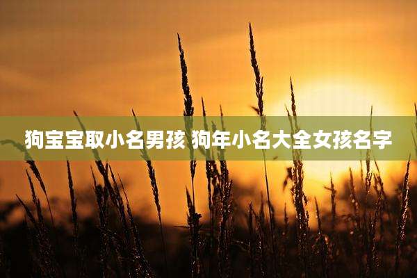 狗宝宝取小名男孩 狗年小名大全女孩名字