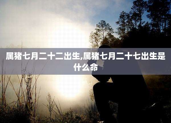 属猪七月二十二出生,属猪七月二十七出生是什么命