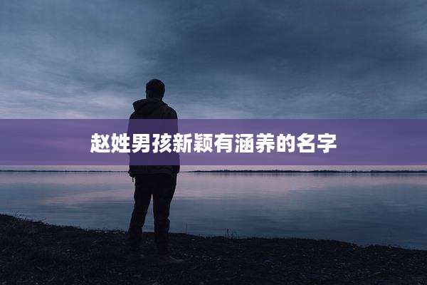赵姓男孩新颖有涵养的名字