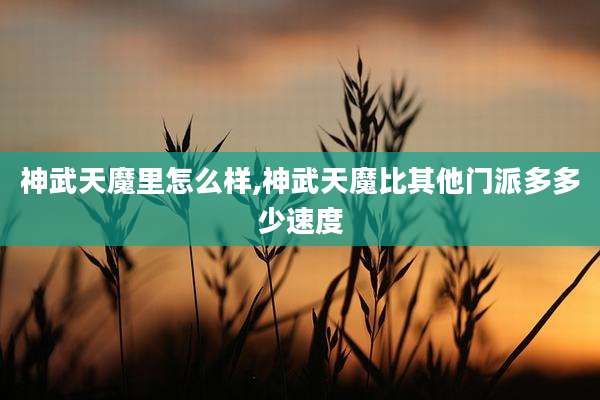 神武天魔里怎么样,神武天魔比其他门派多多少速度