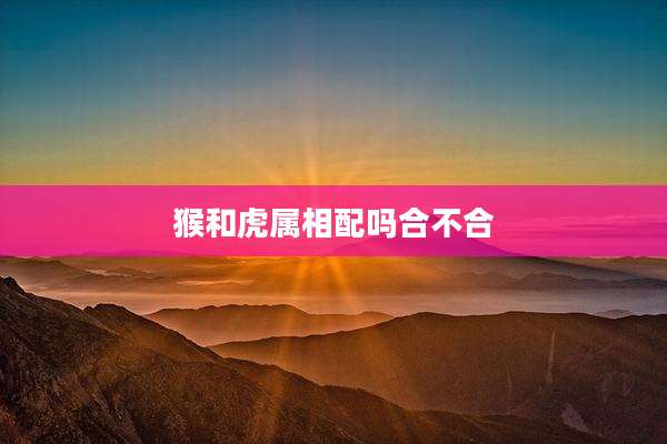 猴和虎属相配吗合不合