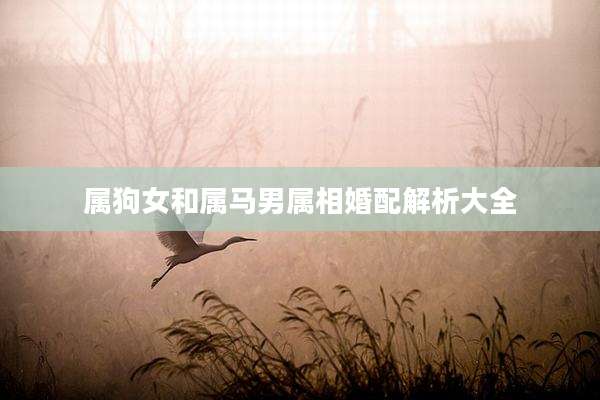 属狗女和属马男属相婚配解析大全