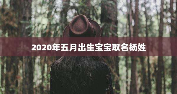 2020年五月出生宝宝取名杨姓