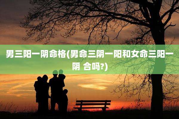 男三阳一阴命格(男命三阴一阳和女命三阳一阴 合吗?)