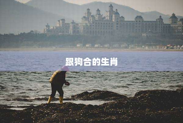 跟狗合的生肖