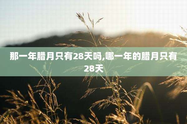 那一年腊月只有28天吗,哪一年的腊月只有28天