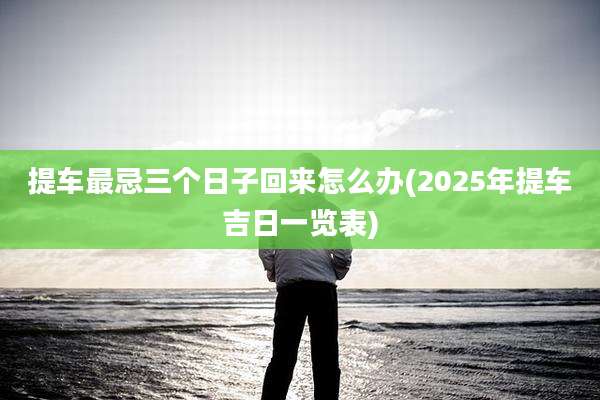 提车最忌三个日子回来怎么办(2025年提车吉日一览表)