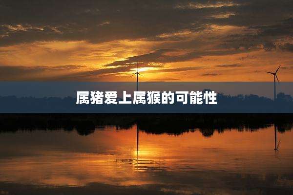 属猪爱上属猴的可能性