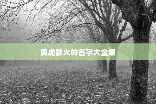 属虎缺火的名字大全集