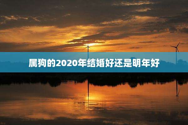 属狗的2020年结婚好还是明年好