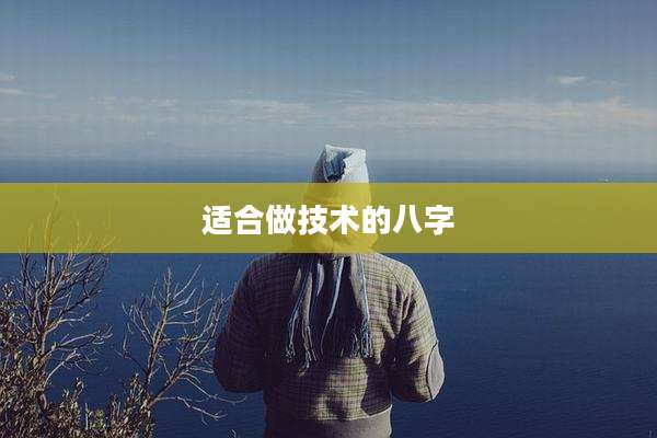 适合做技术的八字