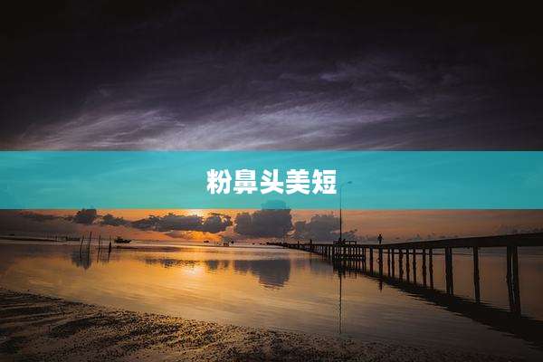 粉鼻头美短