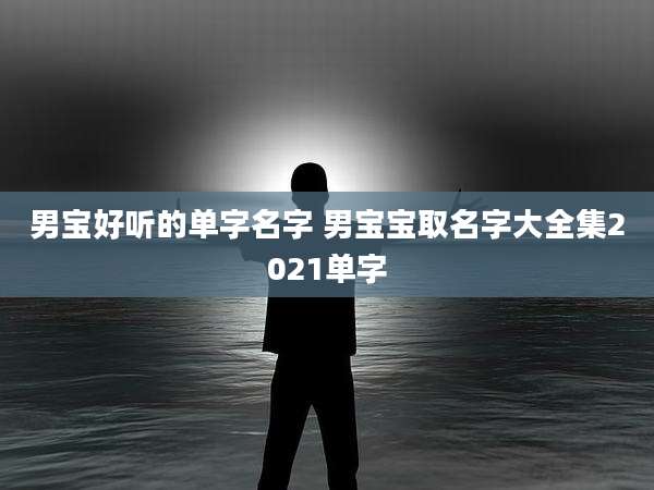 男宝好听的单字名字 男宝宝取名字大全集2021单字
