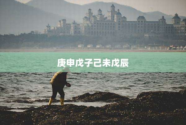 庚申戊子己未戊辰