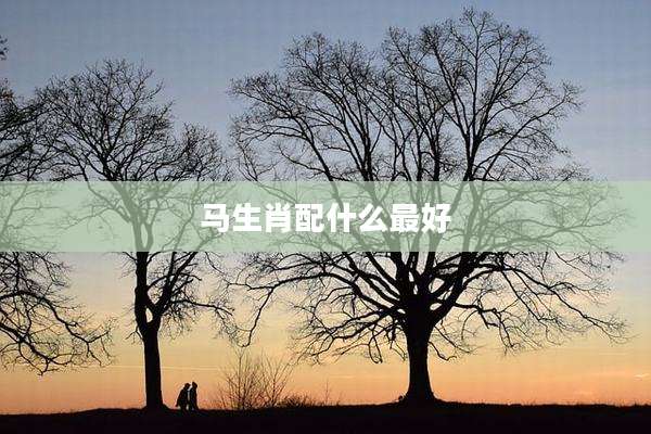 马生肖配什么最好