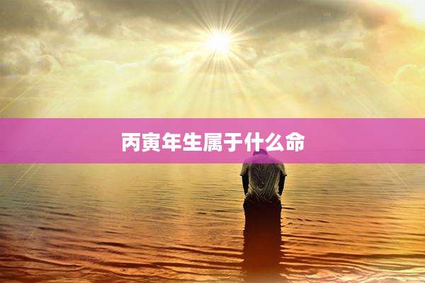 丙寅年生属于什么命