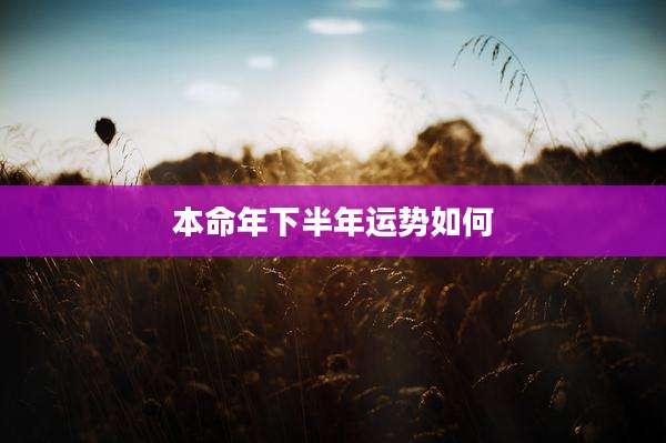 本命年下半年运势如何