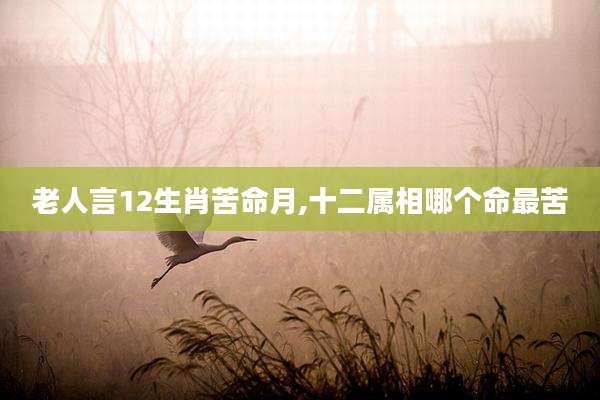老人言12生肖苦命月,十二属相哪个命最苦
