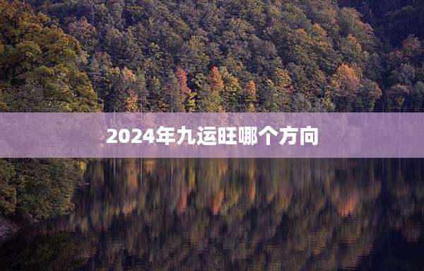 2024年九运旺哪个方向
