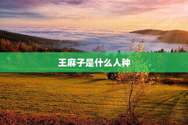 王麻子是什么人种