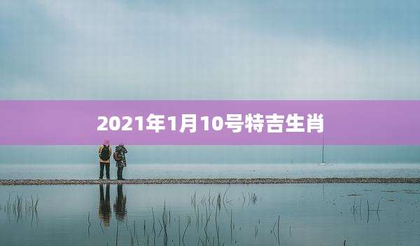 2021年1月10号特吉生肖