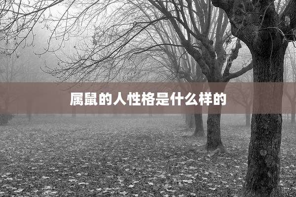 属鼠的人性格是什么样的