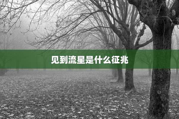见到流星是什么征兆
