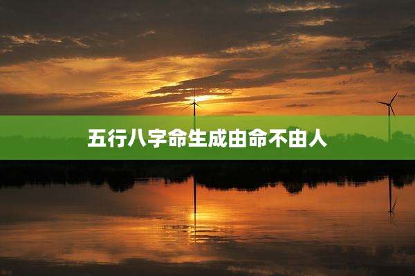 五行八字命生成由命不由人
