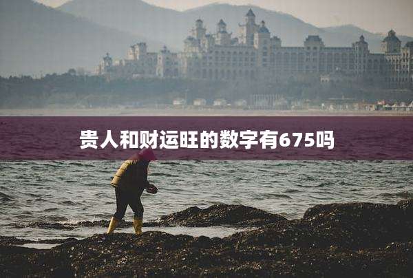 贵人和财运旺的数字有675吗