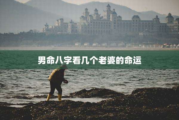 男命八字看几个老婆的命运