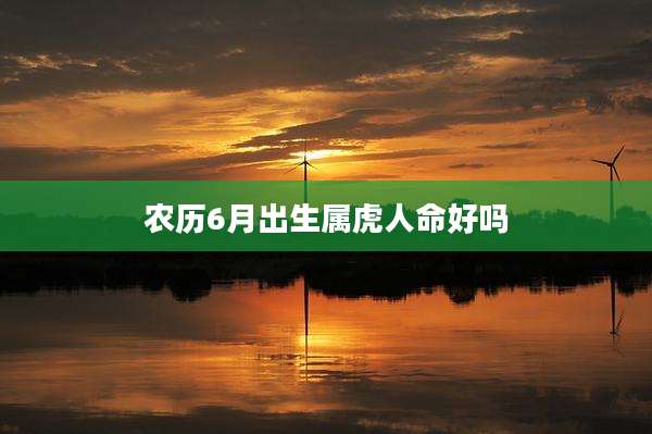 农历6月出生属虎人命好吗