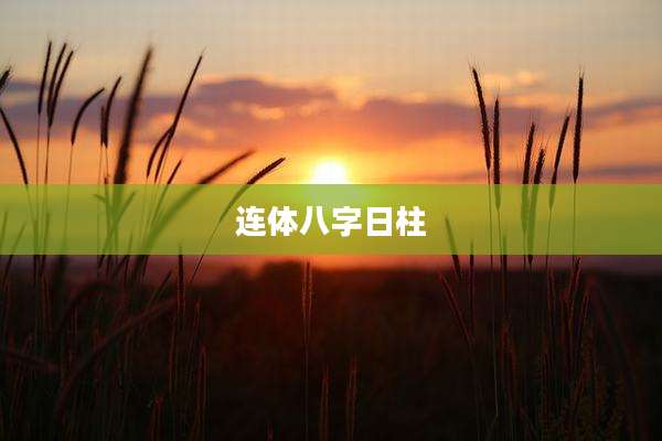连体八字日柱