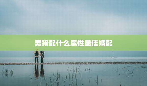 男猪配什么属性最佳婚配