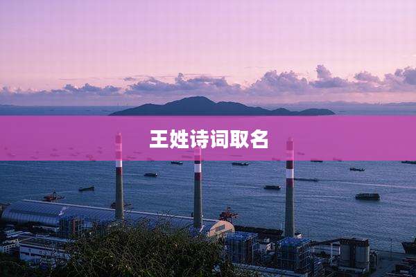 王姓诗词取名