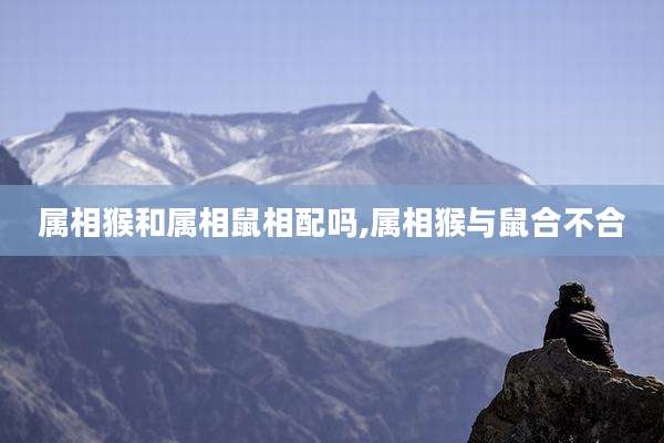 属相猴和属相鼠相配吗,属相猴与鼠合不合