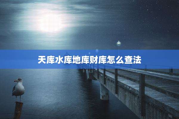 天库水库地库财库怎么查法
