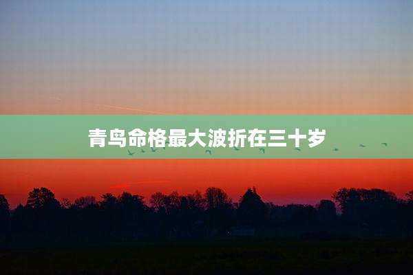 青鸟命格最***折在三十岁