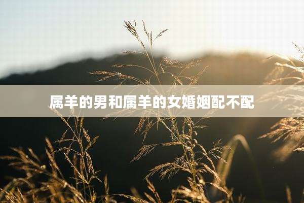 属羊的男和属羊的女婚姻配不配