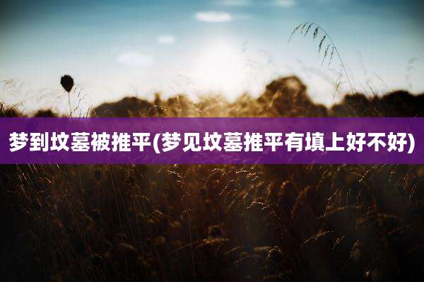 梦到坟墓被推平(梦见坟墓推平有填上好不好)