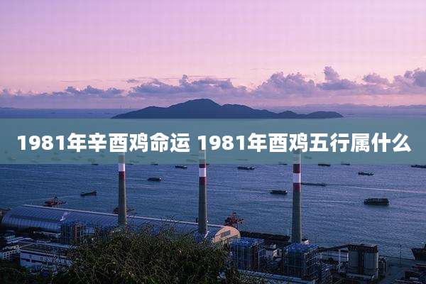 1981年辛酉鸡命运 1981年酉鸡五行属什么